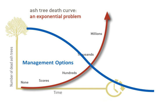 EAB Death Curve