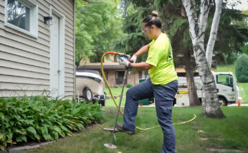tree technician applying fertilizer around birch tree in front yard